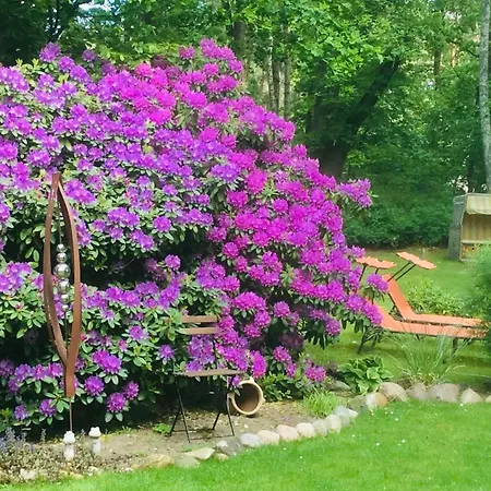 Teuteberg Lejlighed Bad Bevensen